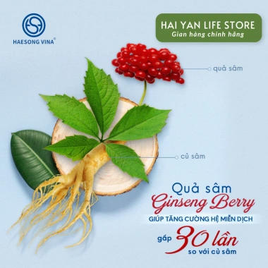 Kẹo quả nhân sâm Hàn Quốc không đường Haesong Vina 200gr – Thư giãn, bồi bổ, tăng năng lượng, tỉnh táo, giảm giá 289.000 VND 7
