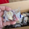 Kẹo Táo Đỏ 500g - Kẹp Sữa Lạc Đà Nhân Hạt Điều Dễ Ăn Thơm Ngon, Giảm Giá 71.000 VND 3