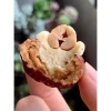 Kẹo Táo Đỏ kẹp sữa lạc đà mix hạt điều 500g - Giá ưu đãi 146.020 VNĐ 3