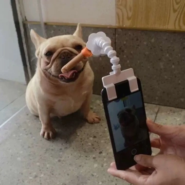 Kẹp điện thoại chụp ảnh thú cưng 360° - Xoay, chống trượt, rảnh tay, nhỏ gọn cho mèo chó - Phụ kiện sống ảo giá ưu đãi 3
