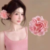 Kẹp Tóc Hoa Hồng Thanh Lịch - Đuôi Ngựa và Cuộn Dây, Giá 41.800 VND Giảm Giá 7