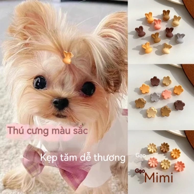 Kẹp Tóc Thú Cưng Hoạt Hình Dây Buộc Đầu Mèo Chó Thỏ Yorkshire Maltese Bichon Giá 110.706₫
