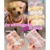 Kẹp tóc thú cưng không rụng lông cho Yorkie - 10 mẫu hoa & trơn, chăm sóc lông