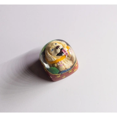 Keycap Artisan Mlem Mlem Golden - Nút bàn phím cơ, liếm màn hình, chỉ 489.000 VND 2 Keycap Artisan Mlem Mlem Golden - Nút bàn phím cơ, liếm màn hình, chỉ 489.000 VND 2