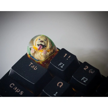 Keycap Artisan Mlem Mlem Golden - Nút bàn phím cơ, liếm màn hình, chỉ 489.000 VND 6 Keycap Artisan Mlem Mlem Golden - Nút bàn phím cơ, liếm màn hình, chỉ 489.000 VND 6