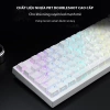Keycap Bàn Phím Cơ Sideprint Xuyên LED PBT Doubleshot Giá 100k Phù Hợp Mọi Layout 3