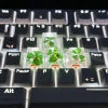 Keycap Resin Cỏ Bốn Lá May Mắn Handmade - Nghệ Thuật KCAP World of Keycaps 192k 8