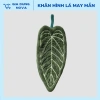 Khăn Lau Tay Hình Lá May Mắn - Microfiber thấm hút nhanh, kháng khuẩn không mùi, trang trí nhà cửa, chỉ 29.900₫ 7