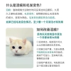 Khăn Lau Thú Cưng Teddy Bichon – Bỏ Nước Mắt, Lau Tai, Chăm Sóc Mèo Chó, Giá 123.937₫ 3