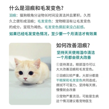 Khăn Lau Thú Cưng Teddy Bichon – Bỏ Nước Mắt, Lau Tai, Chăm Sóc Mèo Chó, Giá 123.937₫ 3