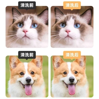Khăn Lau Thú Cưng Teddy Bichon – Bỏ Nước Mắt, Lau Tai, Chăm Sóc Mèo Chó, Giá 123.937₫ 4