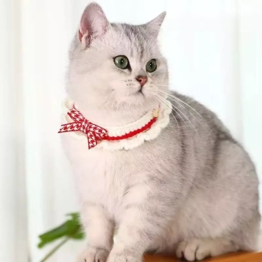 Khăn quàng nơ mèo phong cách Nhật Bản - Vòng cổ dệt kim cho Ragdoll Devon, 93.084 VND 3 Khăn quàng nơ mèo phong cách Nhật Bản - Vòng cổ dệt kim cho Ragdoll Devon, 93.084 VND 3