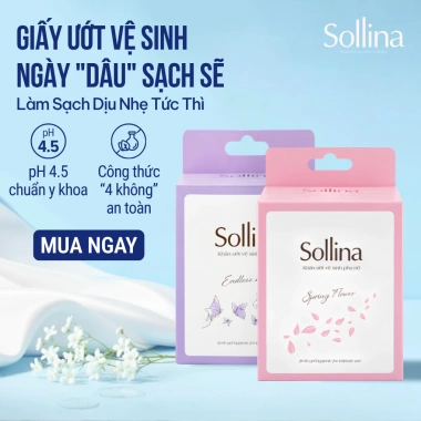 Khăn Ướt Vệ Sinh Phụ Nữ Sollina 20 gói - Khử mùi, An toàn da, Siêu tiện lợi, Giá 95.000