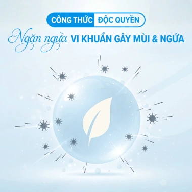 Khăn Ướt Vệ Sinh Phụ Nữ Sollina 20 gói - Khử mùi, An toàn da, Siêu tiện lợi, Giá 95.000