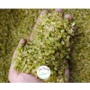 Khẩu Hạng Nếp Tú Lệ Yên Bái - Đặc Sản Ngon, Giảm Giá Đặc Biệt 49.500₫ 2