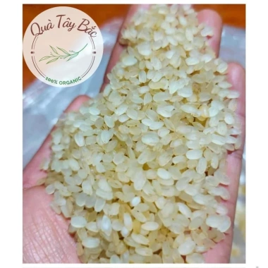 Khẩu hang nếp Tú Lệ Yên Bái - Đặc sản vùng cao, giảm giá 49.500đ, chất lượng cao 3