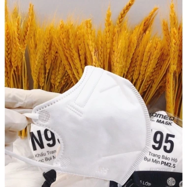 Khẩu Trang N95 Biomeo 5 Lớp Lọc PM2.5 Siêu Mịn 95% - Hộp 30 Cái 25.000đ 6 Khẩu Trang N95 Biomeo 5 Lớp Lọc PM2.5 Siêu Mịn 95% - Hộp 30 Cái 25.000đ 6