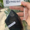 Khẩu trang NEOMASK NC95 Than hoạt tính - Đeo gáy, bảo vệ sức khỏe, giá 55.860₫ 4
