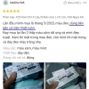 Khẩu trang vải 3 lớp Ngọc Mint BZ6 không nẹp mũi, chống UV & bụi mịn, bảo vệ da dưới nắng 7