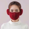 Khẩu Trang Vải Bịt Tai Giữ Ấm Kháng Bụi Chống Nắng Lỗ Thoáng Khí - Giá 30.000 5