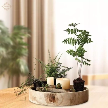 Khay Gỗ Tròn Đĩa Trái Cây, Đựng Nến, Trang Trí Phòng Khách Giá 321.200đ 5