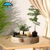 Khay Gỗ Tròn Trung Tâm Trang Trại - Khay Trà Sang Trọng cho Nhà Bếp & Ottoman, Giá ưu đãi 321.200₫ 2