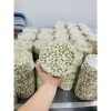 Khay hạt dinh dưỡng 500g - hỗn hợp hạt điều, hạt dẻ, hạnh nhân, macca giá ưu đãi 145k 3