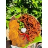 Khô Bò Củ Chi Tasty Food - Miếng Mềm Bò loại 1, ăn vặt ngon, giảm giá 369k (giá gốc 453.870₫) 4