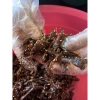 Khô bò xé sợi 500g - Thịt bò khô ngon giòn, giá chỉ 375.000 VND giảm sâu 2