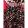 Khô bò xé sợi 500g - Thịt bò khô ngon giòn, giá chỉ 375.000 VND giảm sâu 4