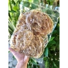 Khô Cá Bò Bình Định 500g Loại 1 Ít Da - Giảm giá 100.000đ, Đậm đà hương vị 5