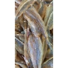 Khô cá chai tự nhiên Xứ Nghệ 100g - Vị nhạt cực ngon, giá chỉ 33.000đ 2