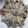 Khô cá dãnh ngon nhà làm - Đặc sản shop Khô Phan Thiết, giảm còn 99.000₫ 3