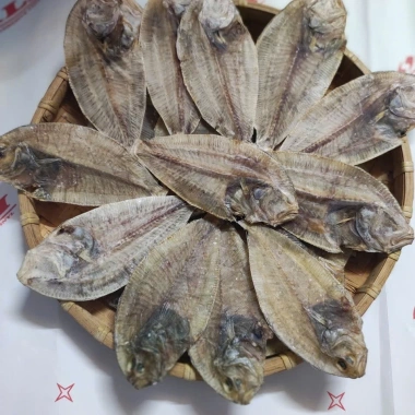 Khô cá dãnh ngon nhà làm - Đặc sản shop Khô Phan Thiết, giảm còn 99.000₫ 3 Khô cá dãnh ngon nhà làm - Đặc sản shop Khô Phan Thiết, giảm còn 99.000₫ 3