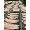Khô cá hố tẩm rút xương 195k/kg - 2 bịng, giá ưu đãi 195.000, giòn ngon, không chất bảo quản