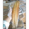 Khô cá hố tẩm rút xương 195k/kg - 2 bịng, giá ưu đãi 195.000, giòn ngon, không chất bảo quản 2