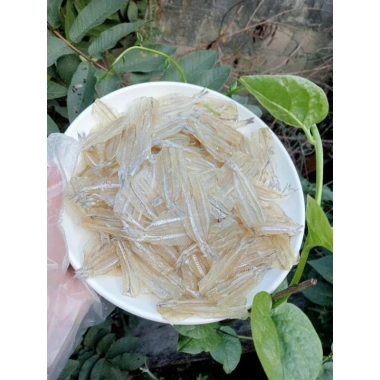 Khô Cá Mai Nghệ An Loại 1 Tẩm Ngọt Nhẹ 500g-1kg - Cá Rán Tương Ớt Siêu Ngon 168k