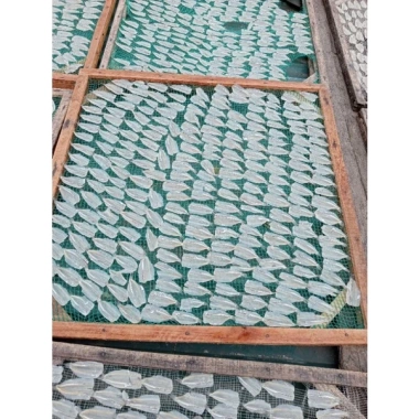 Khô Cá Mai Nghệ An Loại 1 Tẩm Ngọt Nhẹ 500g-1kg - Cá Rán Tương Ớt Siêu Ngon 168k