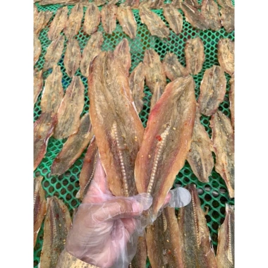 Khô Cá Mối Không Xương Loại 1 Quà Biếu Tặng Tết Vị Ngon Không Mặn Giao Toàn Quốc