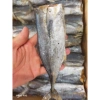 Khô cá Nục to 500g siêu rẻ, vị vừa ngon, giảm còn 66.000₫, giao nhanh