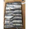 Khô cá Nục to 500g siêu rẻ, vị vừa ngon, giảm còn 66.000₫, giao nhanh 3