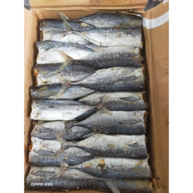 Khô cá Nục to 500g siêu rẻ, vị vừa ngon, giảm còn 66.000₫, giao nhanh
