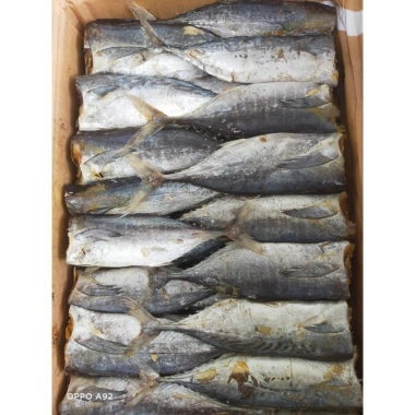 Khô cá Nục to 500g siêu rẻ, vị vừa ngon, giảm còn 66.000₫, giao nhanh