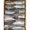 Khô cá Nục to 500g siêu rẻ, vị vừa ngon, giảm còn 66.000₫, giao nhanh 7