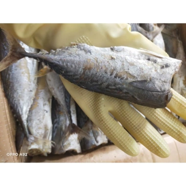 Khô cá Nục to 500g siêu rẻ, vị vừa ngon, giảm còn 66.000₫, giao nhanh 9 Khô cá Nục to 500g siêu rẻ, vị vừa ngon, giảm còn 66.000₫, giao nhanh 9