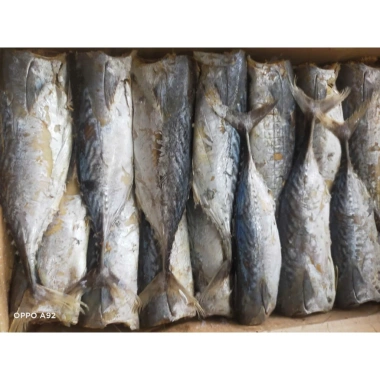 Khô cá Nục to 500g siêu rẻ, vị vừa ngon, giảm còn 66.000₫, giao nhanh 10 Khô cá Nục to 500g siêu rẻ, vị vừa ngon, giảm còn 66.000₫, giao nhanh 10