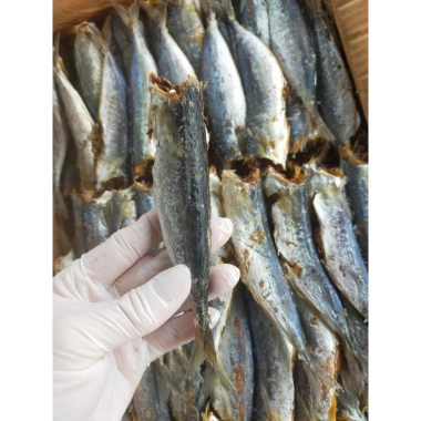Khô Cá Nục vị mặn vừa 1.000g - Giá chỉ 99.000đ, giảm mạnh từ 122.760đ