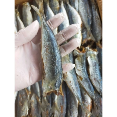 Khô Cá Nục vị mặn vừa 1.000g - Giá chỉ 99.000đ, giảm mạnh từ 122.760đ