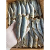 Khô Cá Nục vị mặn vừa 1.000g - Giá chỉ 99.000đ, giảm mạnh từ 122.760đ 10