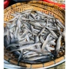 Khô cá trạch đồng loại lớn 500g - Đặc sản Dakydo An Giang, giá ưu đãi 190.000₫ 3